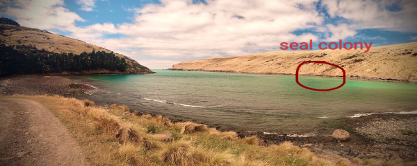 Pohatu marine reserve